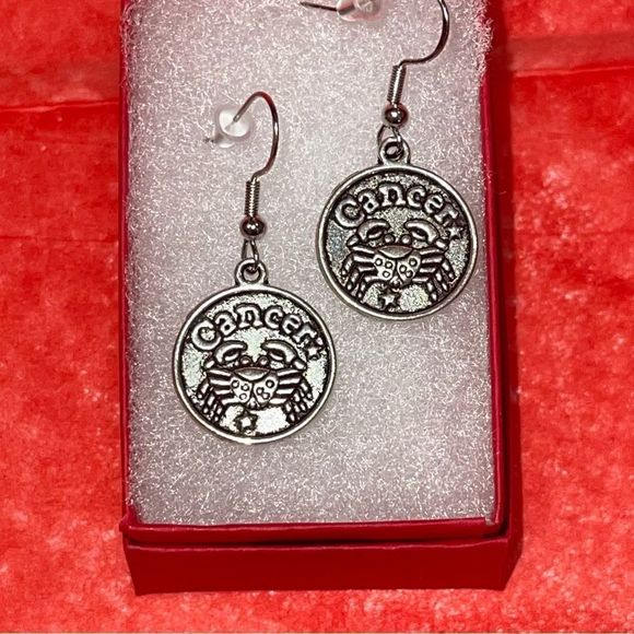 CANCER IRON & SILVER DOUBLE SIDED ZODIAC DROP EARRINGS - Picture 2 of 5